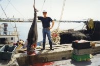 Tuna catching, New Bedford, USA, 1999